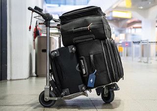 [김지우의 굴러서 세계 속으로] 바퀴를 달고 가볍게 미끄러지기 | 예스24 채널예스