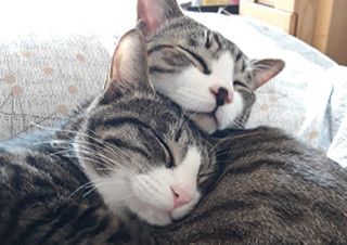 [가정의 달 특집] 이보다 더 완벽할 수 없다 | 예스24 채널예스