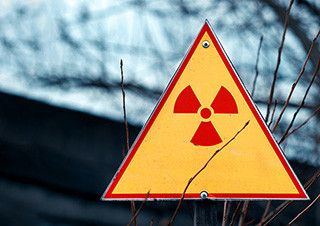 [박진영의 재난이 다가와도 우리는] 과정이 중요하다는 말 | 예스24 채널예스