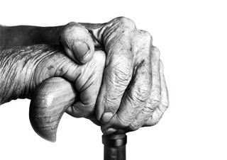 [현호정의 옛 담 너머] 바다표범의 뼈로 만든 할머니의 페니스 | 예스24 채널예스