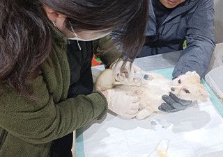 오해 너머 진정한 야생동물의 삶 | 예스24 채널예스