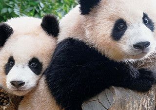 [예스24] 7월 2주 베스트셀러 동향 | 예스24 채널예스