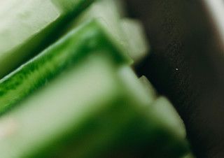 [안담의 추천사] 취청오이의 나날 | 예스24 채널예스