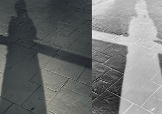 [김지승 칼럼] 침묵은 어떤 색으로 누출되는가? | 예스24 채널예스