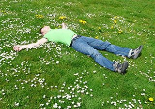 [현호정의 옛 담 너머] 병이 낫고 나니 봄바람은 가 버렸고 | 예스24 채널예스