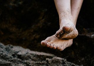 [현호정의 옛 담 너머] 돼지풀 요정 | 예스24 채널예스