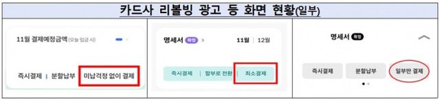 카드사 리볼빙 광고에서 사용되는 '최소 결제'와 미납 걱정 없이 결제' 등의 용어를 '일시불 분할납부 서비스'와 혼동하는 것을 주의해야 한다. /자료제공=금융감독원