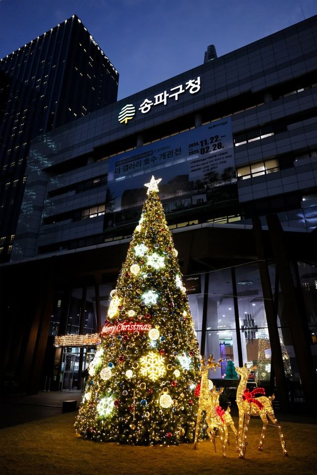 송파구가 지난 11월 15일 설치한 크리스마스트리./사진제공=송파구