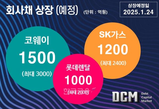 그래픽=한국금융신문 