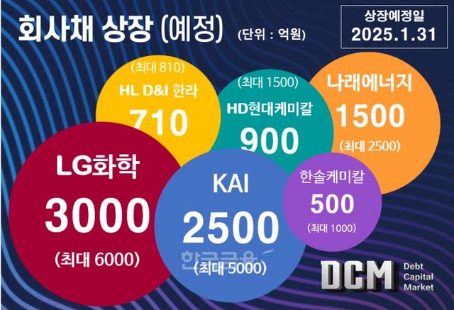 그래픽=한국금융신문 