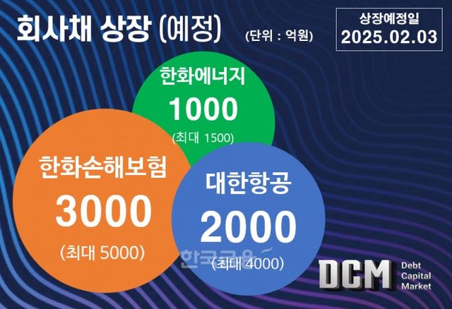 그래픽=한국금융신문