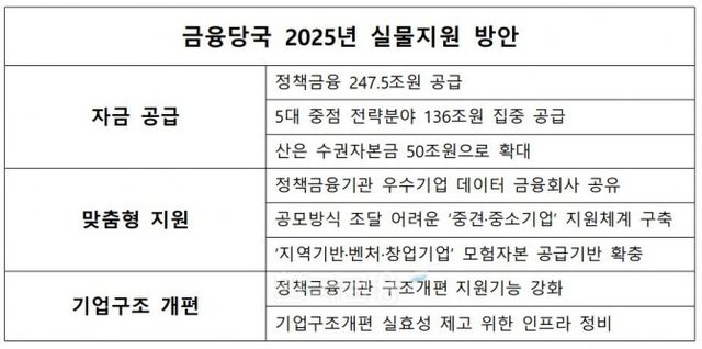 금융당국 2025년 실물지원 방안./ 자료 = 금융위원회