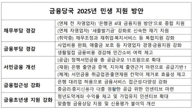 금융당국 2025년 민생 지원 방안./ 자료 = 금융위원회