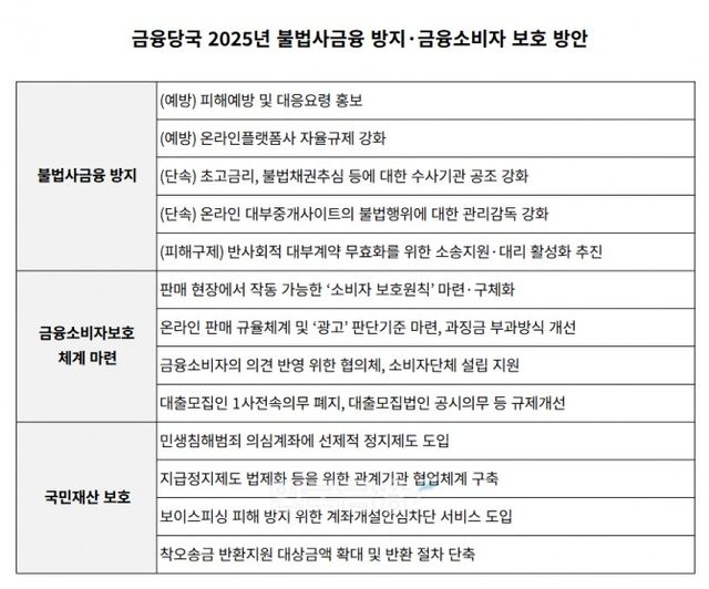 금융당국 2025년 불법사금융 방지·금융소비자 보호 방안 표./표 = 김다민 기자
