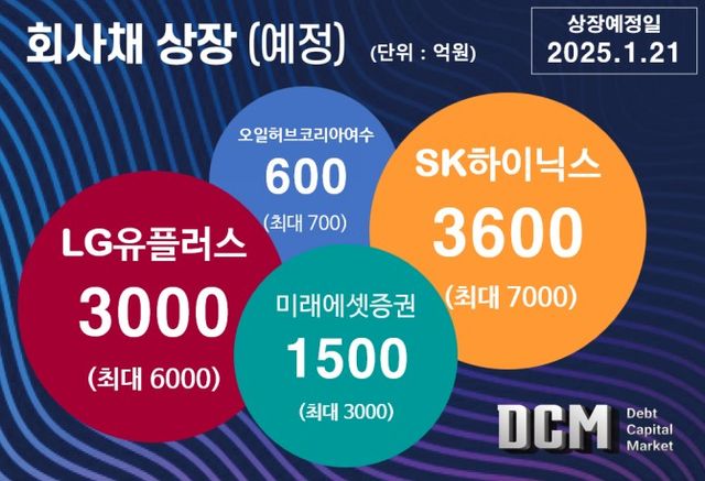 그래픽=한국금융신문