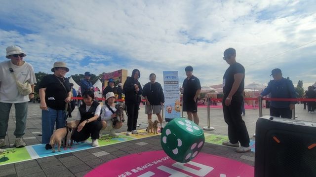 마포구민들이 댕댕이와 부루마불 게임에 참여하는 모습./사진=한국금융 