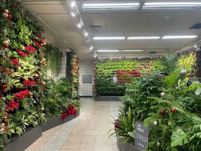 삼각지역 크리스마스 사진 무대 공간./사진제공=용산구