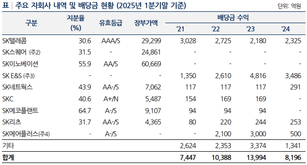 SK(주) 자회사 배당 내역./출처=나이스신용평가