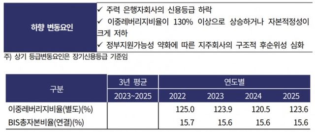 하나금융지주 신용등급 변동 요인./출처=한국기업평가