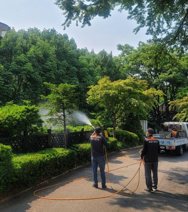 마포구 관계자가 러브버그 집중 발생에 대비해 친환경 살수 작업을 진행하는 모습./사진제공=마포구