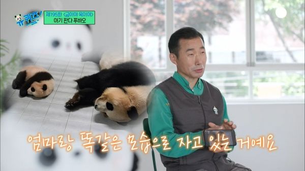 유퀴즈 '강철원 사육사' 캡처