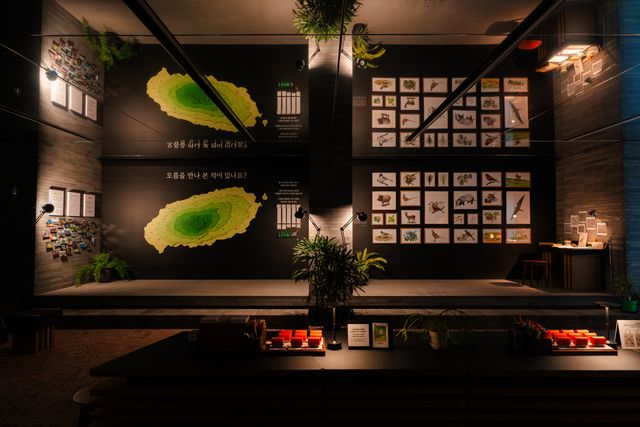 ‘제주의 미래를 키운 10년’ 이니스프리 모음재단이 올해로 설립 10주년을 맞았다. 재단은 창업주 고(故) 서성환 선대 회장의 ‘제주의 돌 하나, 나무 한 그루도 원형 그대로 보전해야 한다’는 철학을 바탕으로 제주의 자연과 사람을 지키는 공익 활동을 꾸준히 이어왔다. 제주의 자연유산을 기록하고 알리는 ‘어승생오름, 자연을 걷다’ 프로젝트는 2021년 오름 연구 지원을 시작으로 2023년 도서 출간, 2024년 제주·부산 전시로 이어졌다. 과학적 연구 결과를 시각예술·체험 콘텐츠로 확장해 제주 자연유산의 보전, 교육, 문화적 가치를 동시에 강화했다는 평가를 받았다