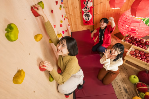 사과 수확 랠리