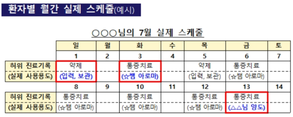 환자별 월간 실제 스케줄 /금융감독원
