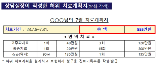 상담실장이 작성한 허위 치료계획지 /금융감독원