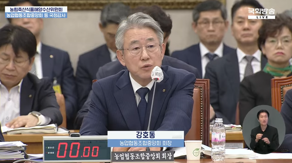 강호동 농협중앙회장이 지난 10월 18일 농림축산식품해양수산위원회에서 열린 농업협동조합중앙회·농협경제지주·농협금융지주 국정감사에서 의원 질의에 답하고 있다 / 국회 LIVE 캡쳐 (포인트경제)