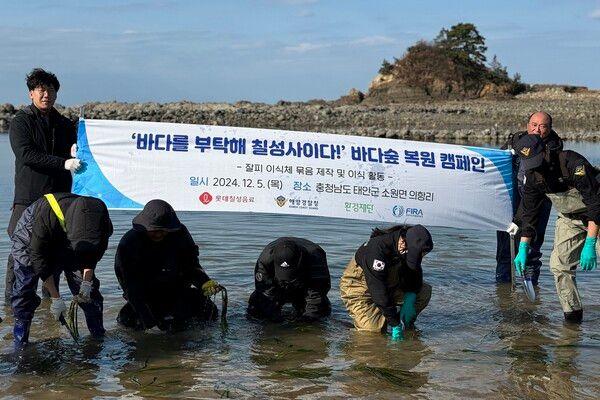 롯데칠성, '바다숲 가꾸기' 잘피 이식 사업 진행