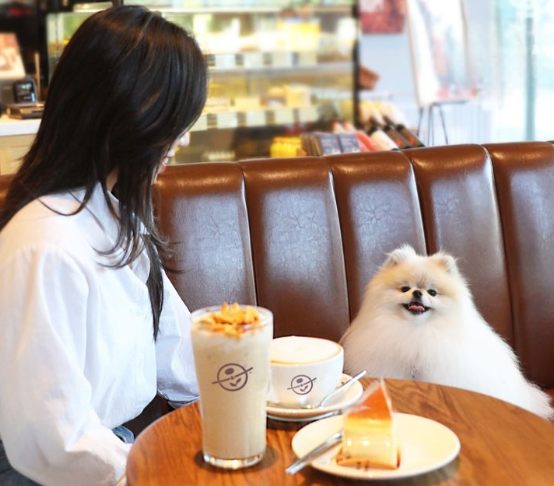 커피빈 펫 동반 매장 / 출처 - 커피빈 인스타그램, 뉴시스