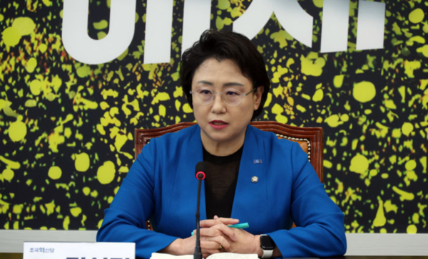 김선민 조국혁신당 대표 권한대행이 29일 서울 여의도 국회에서 현안 기자간담회를 하고 있다. /사진=뉴시스