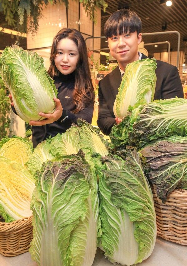 23일 오전, 서울시 강남구에 위치한 현대백화점 무역센터점 지하 1층 식품관에서 직원들이 '아삭갓배추'를 소개하고 있다.