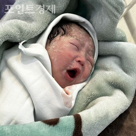 새 생명의 탄생 순간 /ⓒ포인트경제 박진우 특파원