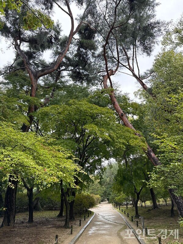 10일 오전 11시께 창경궁 풍경. 부슬비가 내리고 있다. /사진=명은별