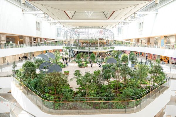 더현대 서울 사운즈 포레스트 전경 /현대백화점 제공