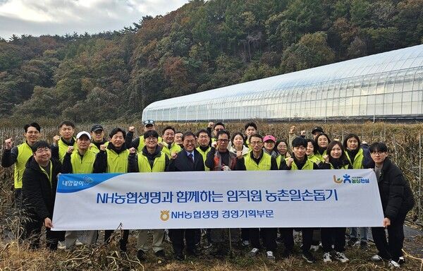NH농협생명 임직원이 경기 여주시에서 김장봉사·농촌일손돕기를 실시하고 기념촬영을 하고 있다.