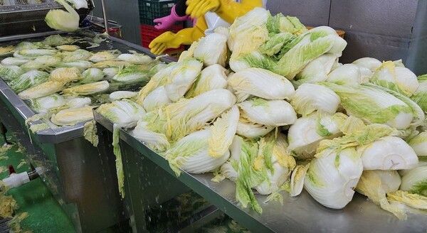 국립농산물품질관리원 전북지원은 지난 10월10일부터 12월6일까지 배추김치·양념류 중심 원산지표시 일제점검 결과 모두 6개소의 위반사항을 적발했다고 11일 밝혔다. /사진=국립농산물품질관리원 전북지원 제공