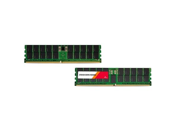 SK하이닉스 1b 32Gb 기반 256GB DDR5 RDIMM /SK하이닉스 제공