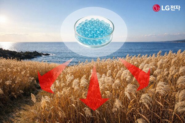 부산시 갈대밭에 마린 글라스를 적용하는 모습 예시