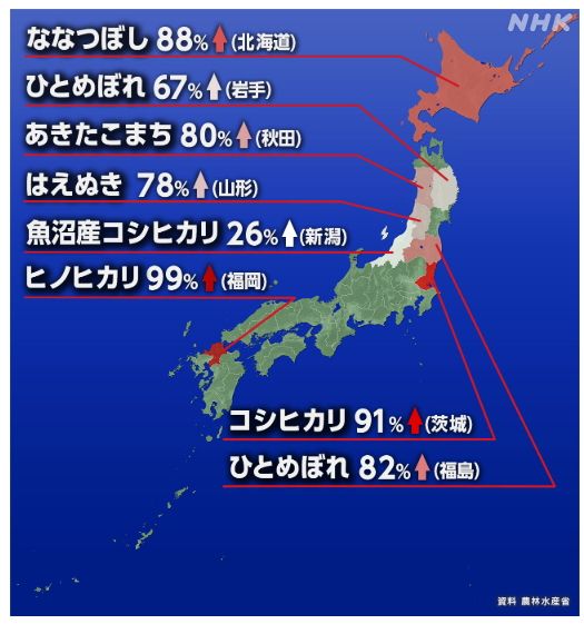 품종별 쌀가격의 상승률 일본 농림수산성/NHK 19일 보도분 갈무리(포인트경제)