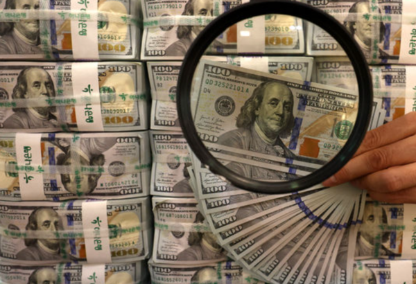 지난해 서울 중구 하나은행 위변조대응센터에서 직원이 달러화를 정리하고 있 있다. /사진=뉴시스