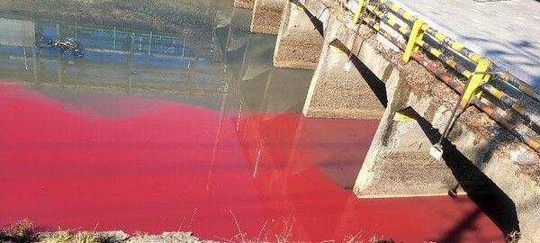 24일 오후 2시30분께 대구 서구 염색산업단지 일대 공단천 하수관로에 연붉은빛을 띠는 폐수가 흐르고 있다. /사진=뉴시스