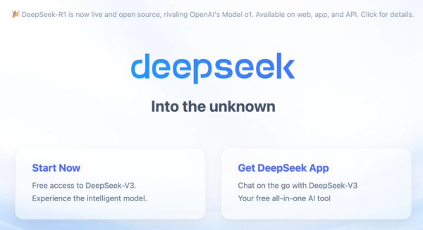 딥시크 웹사이트 갈무리