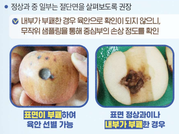식품의약품안전처으이 파튤린 저감화 방법 사과주스 제조공정 가이드라인 갈무리