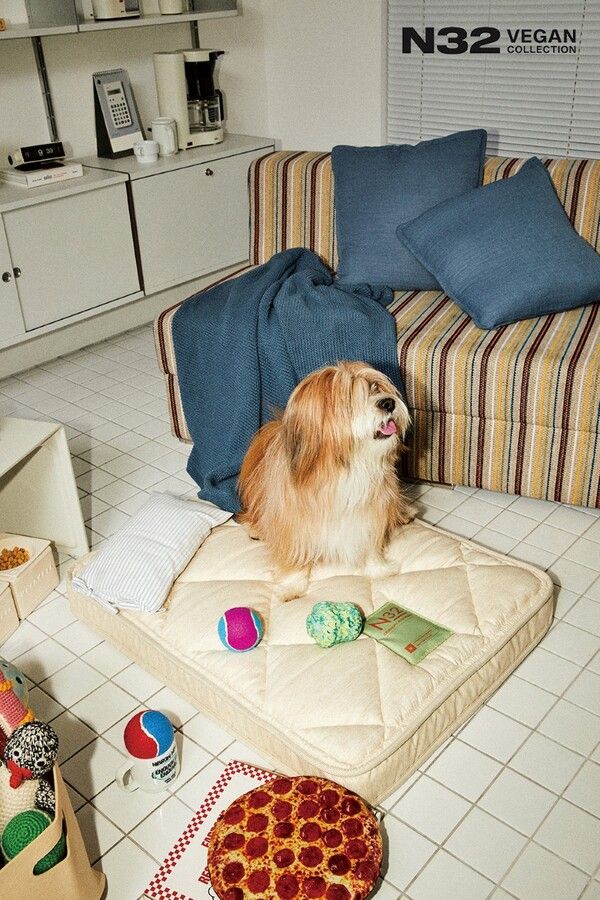 시몬스,&nbsp;펫 매트리스 ‘N32&nbsp;쪼꼬미’ 출시 /시몬스 침대 제공