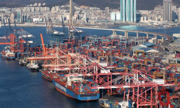 지난달 부산 남구 감만부두에서 수출입 컨테이너 선적 및 하역작업이 진행되고 있다. /사진=뉴시스