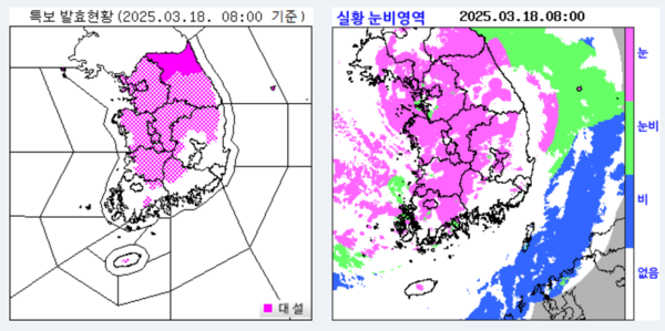 18일 기상청 특보 발효현황과 실황 눈비영역 /기상청 갈무리