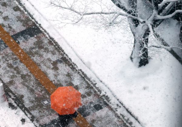 전국 곳곳에 많은 눈이 내린 18일 오전 서울 종로구 정부서울청사에서 우산을 들고 출근하는 사람 /사진=뉴시스